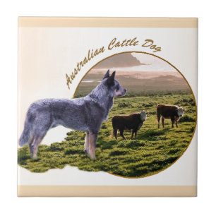 Australian Cattle Dog Art Tile