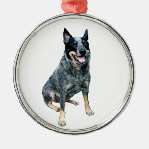 Australian Cattle Dog (B) Metal Ornament