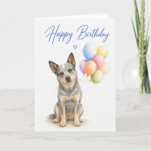 Australian Cattle Dog Birthday Card