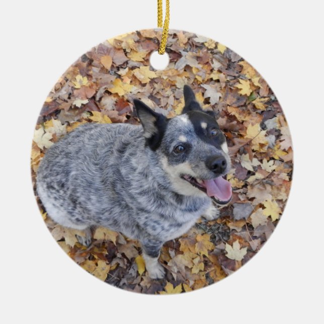 AUSTRALIAN CATTLE DOG BLUE HEELER CHRISTMAS ORNAME CERAMIC ORNAMENT (Front)