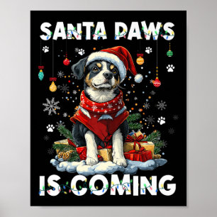Australian Cattle Dog Christmas Tree Decorations D