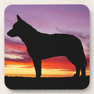 Australian Cattle Dog Coaster