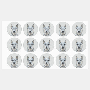 Australian Cattle Dog - Cute Original Dog Art