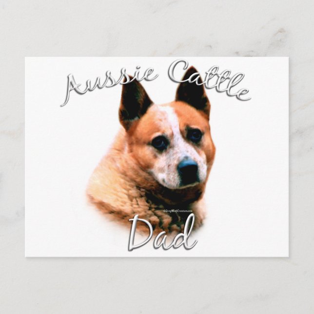 Australian Cattle Dog Dad 2 Postcard (Front)