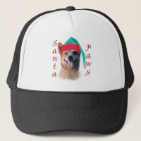Australian Cattle Dog Dog Santa Paws