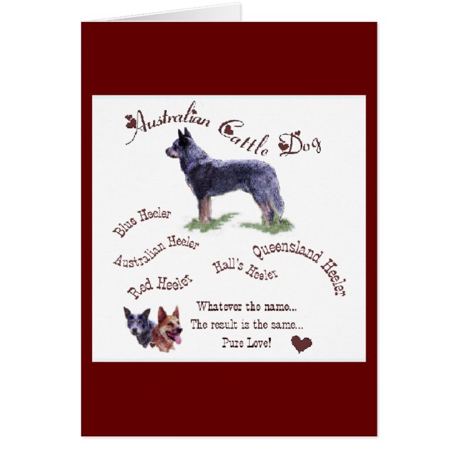 Australian Cattle Dog Gifts (Front)