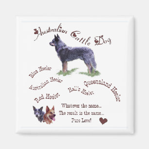 Australian Cattle Dog Gifts Magnet