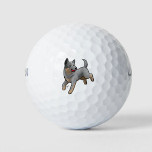 Australian Cattle Dog Golf Balls