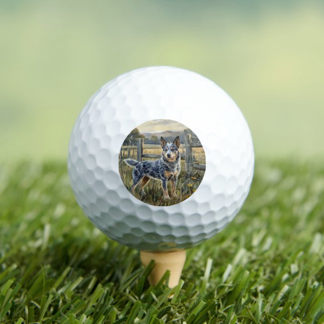 Australian Cattle Dog Golf Balls (Insitu Tee)