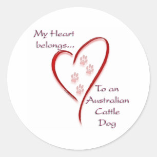 Australian Cattle Dog Heart Belongs Classic Round Sticker