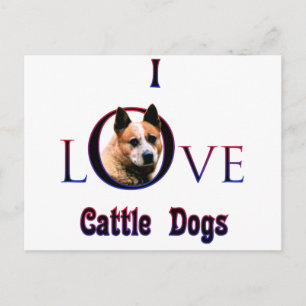 Australian Cattle Dog I Love Postcard