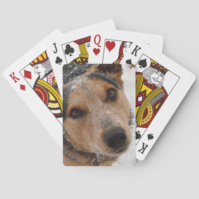 Australian Cattle Dog in Snow - Western Playing Cards (Back)