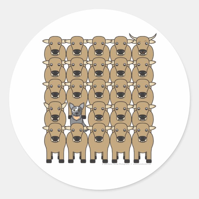 Australian Cattle Dog in the Herd Classic Round Sticker (Front)