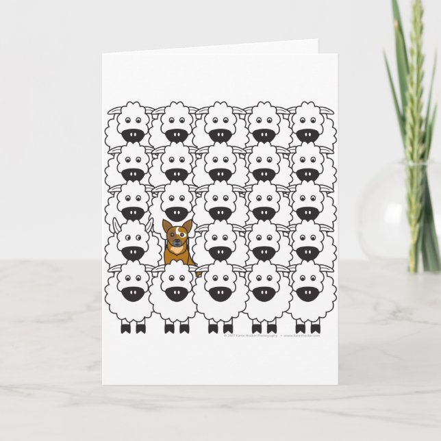 Australian Cattle Dog in the Sheep Card (Front)