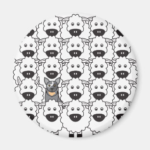 Australian Cattle Dog in the Sheep Magnet
