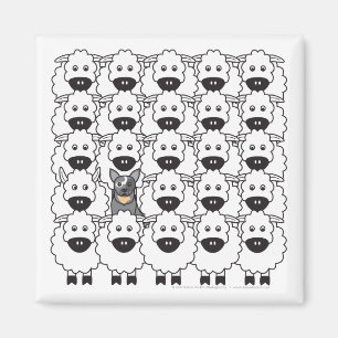 Australian Cattle Dog in the Sheep Magnet