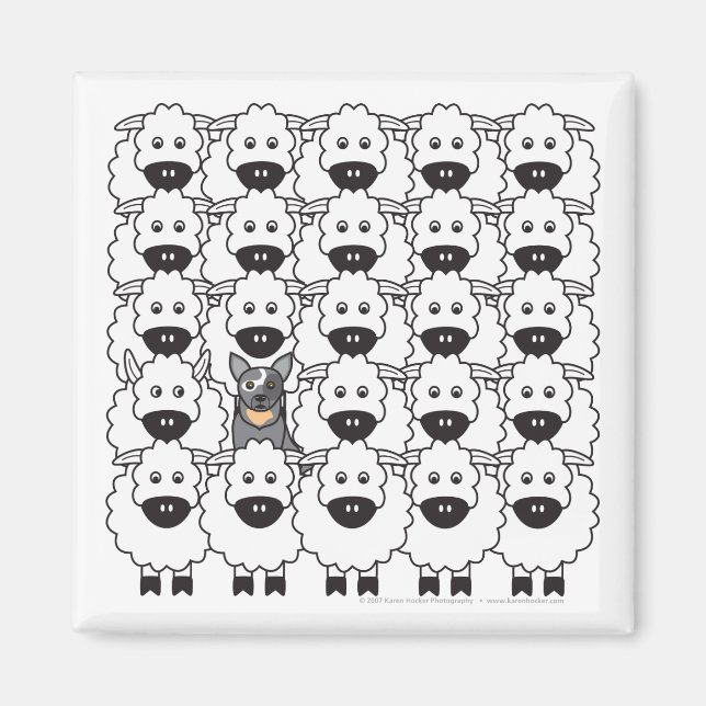 Australian Cattle Dog in the Sheep Magnet (Front)