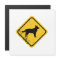 Australian Cattle Dog