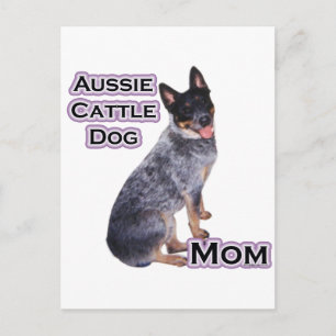 Australian Cattle Dog Mom 4 Postcard