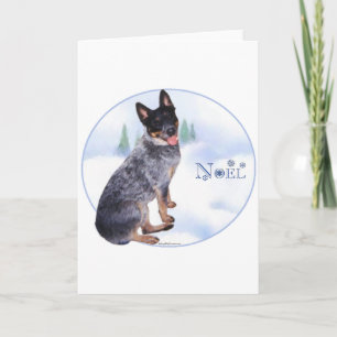 Australian Cattle Dog Noel Holiday Card