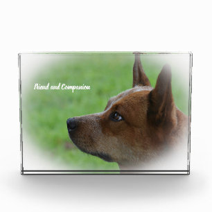 Australian Cattle Dog Photo Block