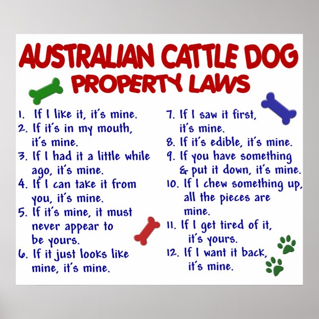 AUSTRALIAN CATTLE DOG PL2 POSTER (Front)