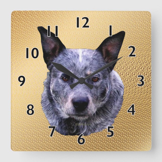 Australian Cattle Dog Portrait Square Wall Clock (Front)