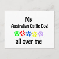 Australian Cattle Dog