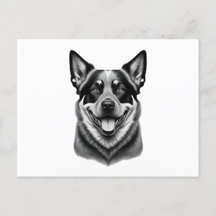 australian cattle dog postcards, Charming Australi Postcard