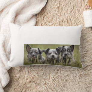 Australian Cattle Dog puppy Blue Heeler Throw Lumbar Pillow