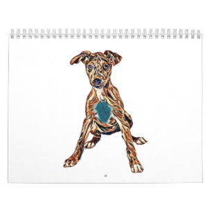Australian Cattle Dog puppy mix sitting looking in Calendar