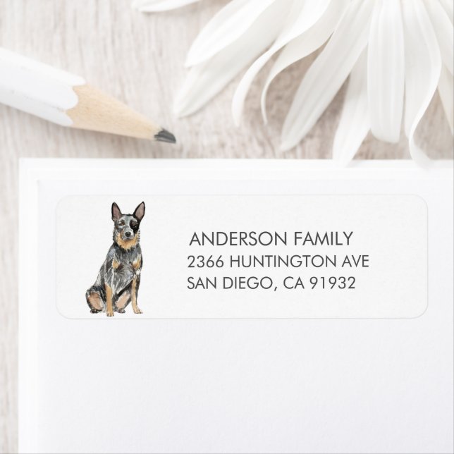 Australian Cattle Dog Return Address Label (Insitu)