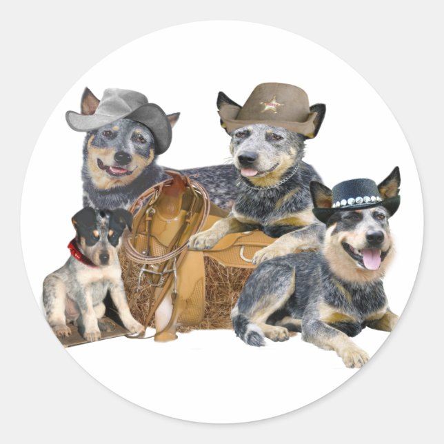 Australian Cattle Dog Western Portrait Classic Round Sticker (Front)
