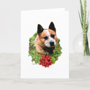 Australian Cattle Dog Wreath Holiday Card