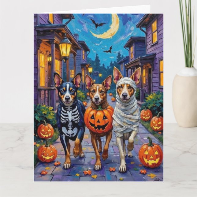 Australian Cattle Trick-or-Treating in Halloween Card (Front)