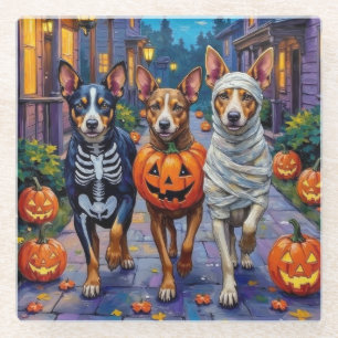 Australian Cattle Trick-or-Treating in Halloween Glass Coaster