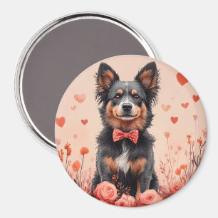 Australian Cattle with Roses - Valentine's Day Magnet
