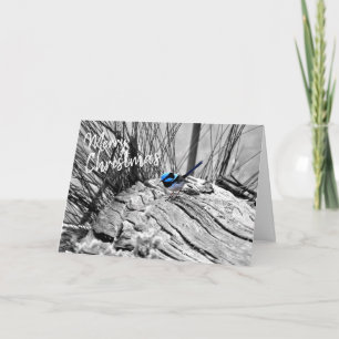 Australian Christmas Greeting Card Fairy Blue Wren