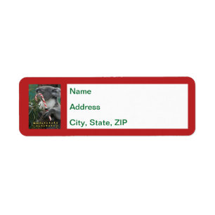 Australian Christmas Koala With Candy Cane Label