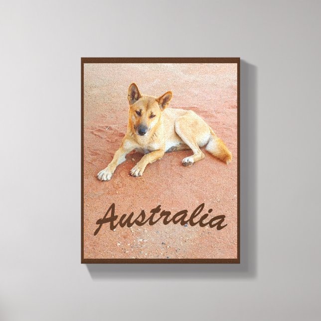 Australian dingo canvas print (Front)