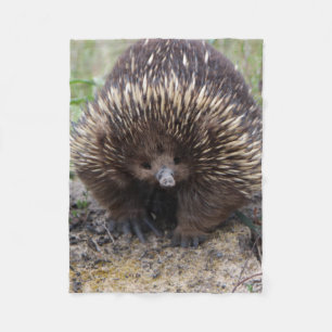 Australian Echidna Cute Animal Photo Fleece Blanket