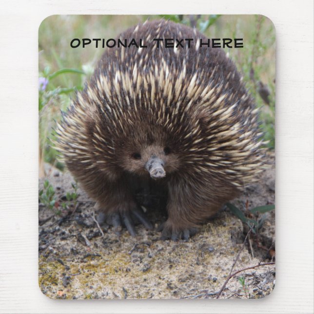 Australian Echidna Cute Animal Photo Mouse Pad (Front)