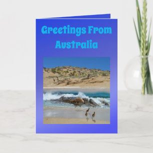 Australian Emu And Koala, Birthday Card