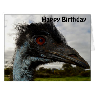 Australian Emu Face Up Close, Jumbo Birthday Card