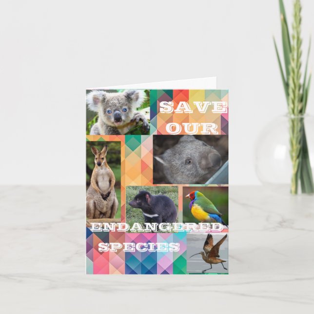 Australian Endangered Species Thank You Card (Front)