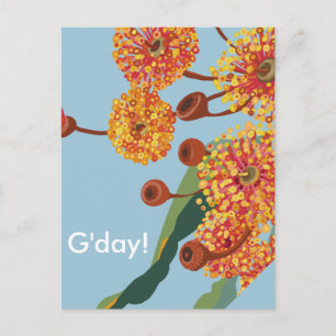 Australian gum tree blossoms postcard