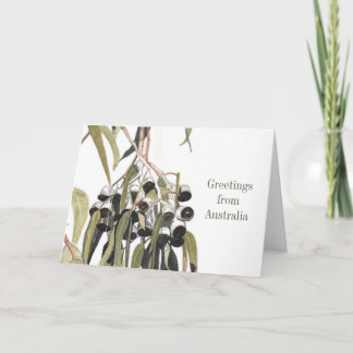 Australian Gumnuts Greetings from Australia Card