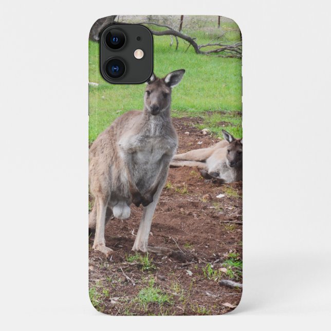 Australian Kangaroo Couple, Case-Mate iPhone Case (Back)