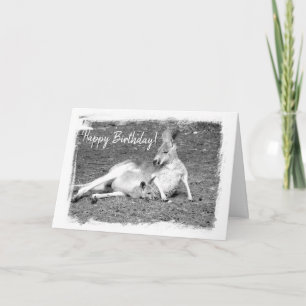 Australian Kangaroo Greeting Birthday Card