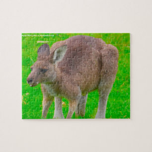Australian Kangaroo Jigsaw Puzzle